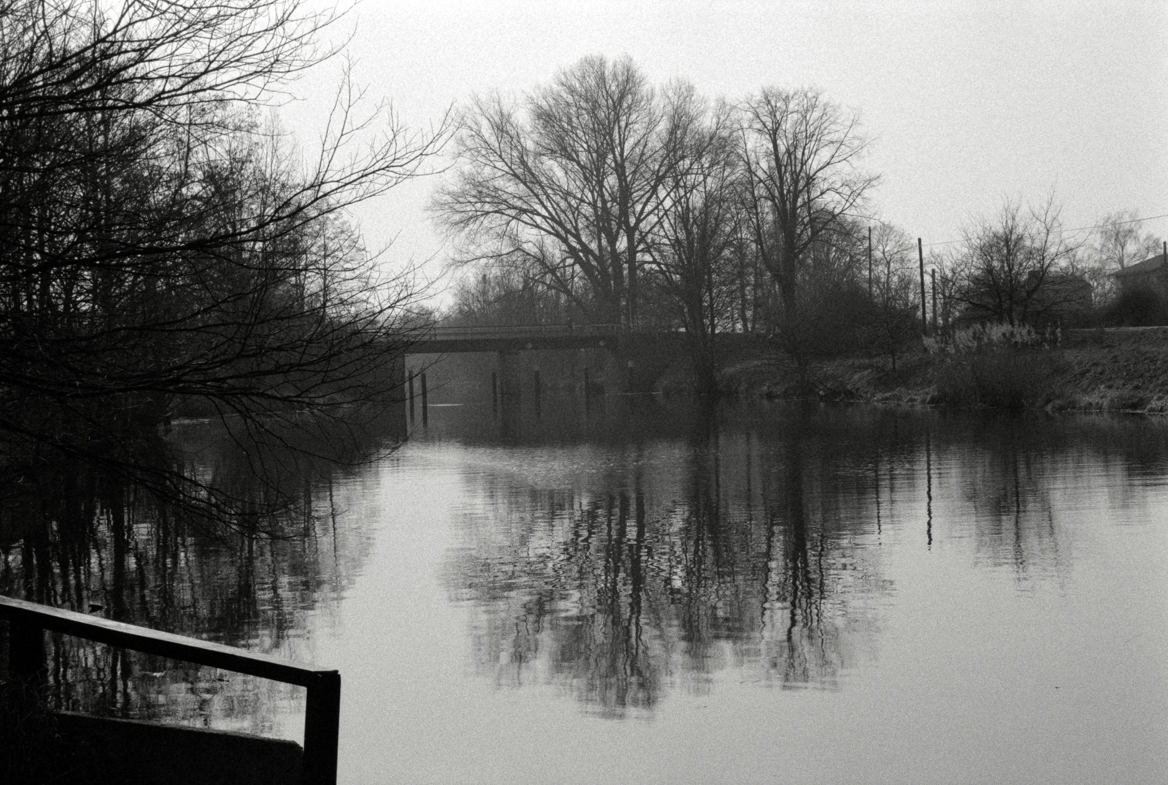 AHP F1993 03 004 sc240902 img24 NLP